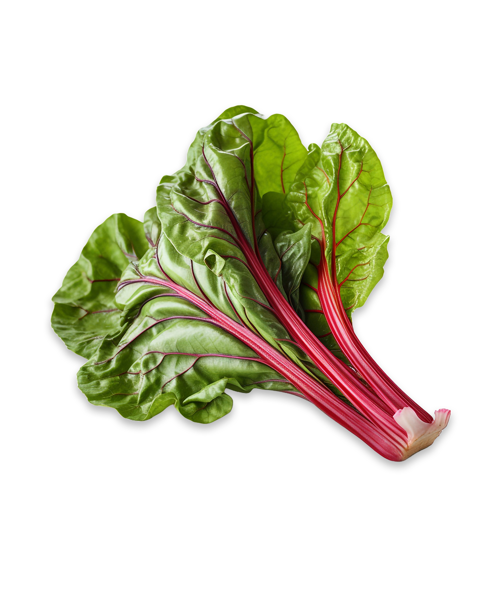 Spinach, Global Food Trader, Import Export, International Food Trade